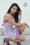 Sidddhi Mamre Stills - 73 of 79