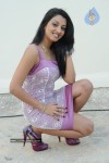 Sidddhi Mamre Stills - 77 of 79