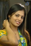 Sindhu Menon Latest Stills - 30 of 59