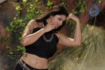 Sneha Latest Stills - 79 of 94