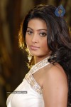 Sneha Latest Stills - 81 of 94