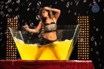 Sneha Ullal New Hot Gallery - 114 of 128