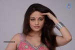 Sneha Ullal New Hot Pics - 44 of 63