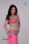 Sneha Ullal New Hot Pics - 49 of 63