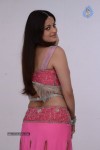 Sneha Ullal New Hot Pics - 56 of 63