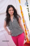 Sneha Ullal New Photos - 54 of 71