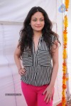 Sneha Ullal New Photos - 14 of 71