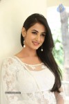 Sonal Chauhan Hot Photos - 15 of 100