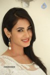 Sonal Chauhan Hot Photos - 20 of 100