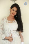 Sonal Chauhan Hot Photos - 21 of 100