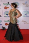Sonal Chauhan New Stills - 50 of 70