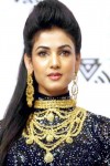 Sonal Chauhan Photo Shoot Stills - 4 of 38