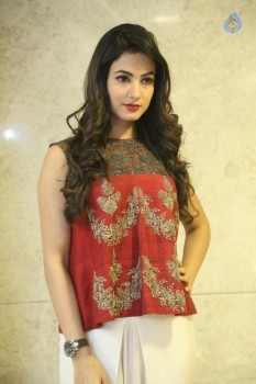 Sonal Chauhan Photos - 5 of 32