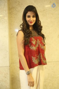 Sonal Chauhan Photos - 7 of 32
