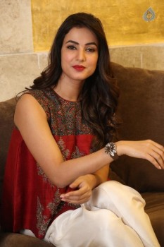 Sonal Chauhan Photos - 16 of 32