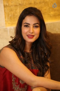 Sonal Chauhan Photos - 18 of 32