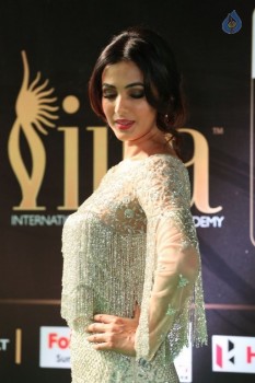 Sonal Chauhan Stills at IIFA 2017 - 8 of 26