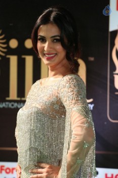 Sonal Chauhan Stills at IIFA 2017 - 18 of 26