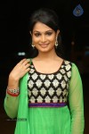 Sonali Hot Stills - 81 of 105