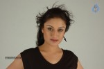 Sonia Agarwal Hot Stills - 80 of 66