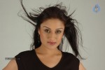 Sonia Agarwal Hot Stills - 44 of 66