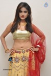 Sony Charishta Latest Photos - 83 of 88