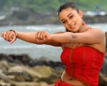 Priyamani Spicy Stills - 19 of 68