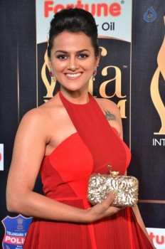 Sradda Stills at IIFA 2017 - 5 of 42