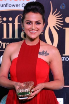 Sradda Stills at IIFA 2017 - 6 of 42