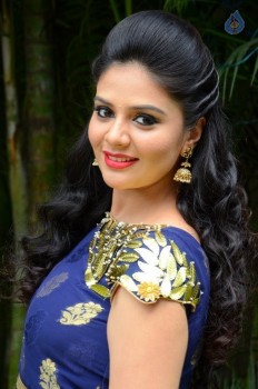 Sreemukhi New Photos - 52 of 61
