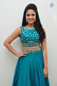 Sreemukhi New Pics - 12 of 42