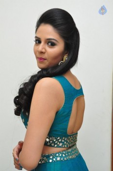 Sreemukhi New Pics - 13 of 42