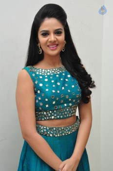 Sreemukhi New Pics - 17 of 42