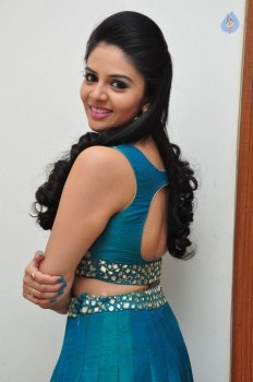 Sreemukhi New Pics - 18 of 42