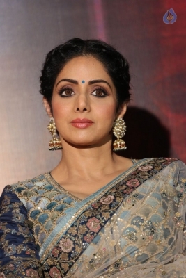 Sridevi Kapoor Photos - 17 of 38