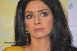 Sridevi Latest Stills - 50 of 69