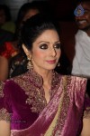 Sridevi Latest Stills - 17 of 71