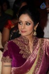 Sridevi Latest Stills - 30 of 71