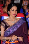 Sridevi New Stills - 18 of 47