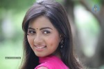 Srushti New Stills - 40 of 54