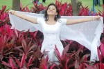 Suhasi In vaade kavali Movie Stills - 32 of 128