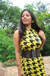 Sunakshi Stills - 4 of 53