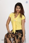 Swapna Hot Stills - 19 of 78