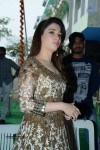 Tamanna at Bengal Tiger Movie Opening - 22 of 90