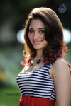 Tamanna New Gallery - 22 of 73