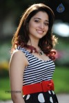 Tamanna New Gallery - 39 of 73