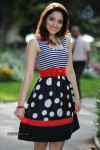 Tamanna New Gallery - 41 of 73