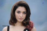 Tamanna Hot Photos - 24 of 151