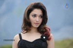 Tamanna Hot Photos - 18 of 151