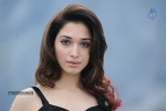 Tamanna Hot Photos - 27 of 151